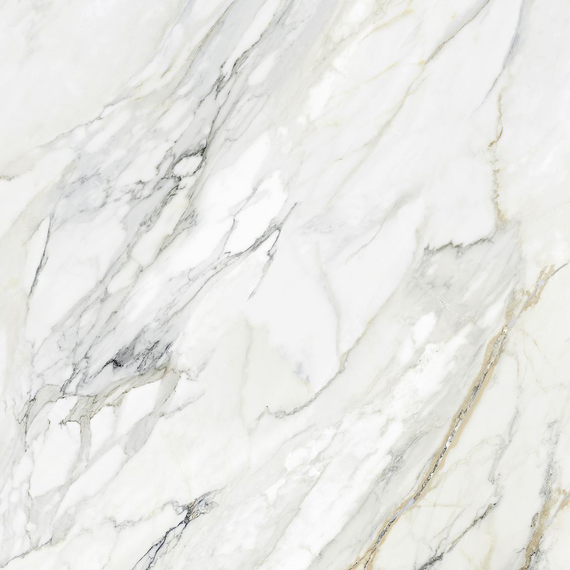 Tasa Blue Ribbon 0901