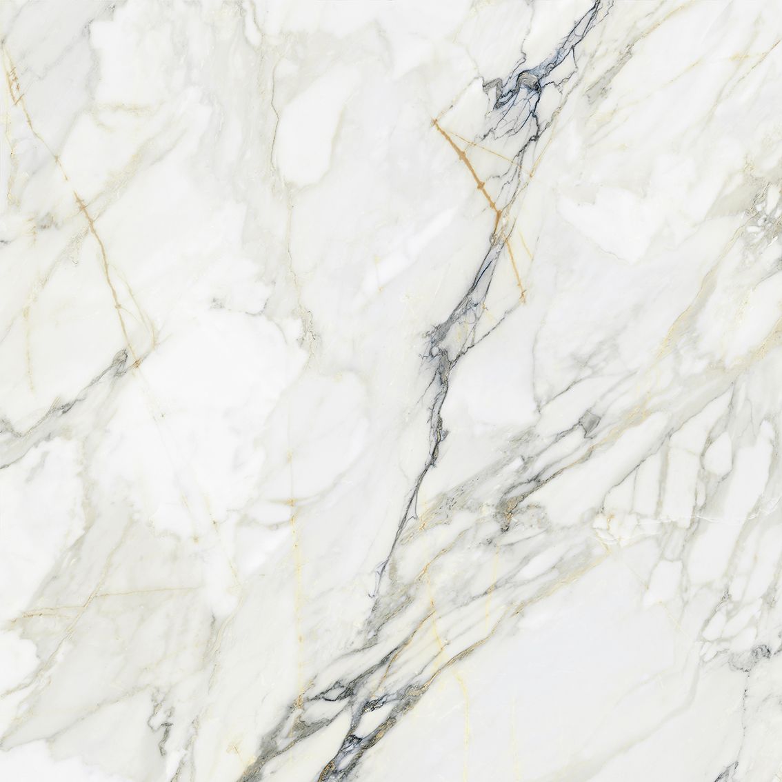 Tasa Blue Ribbon 0901