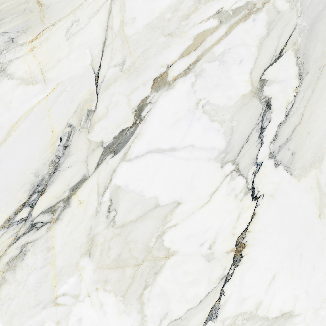 Tasa Blue Ribbon 0901