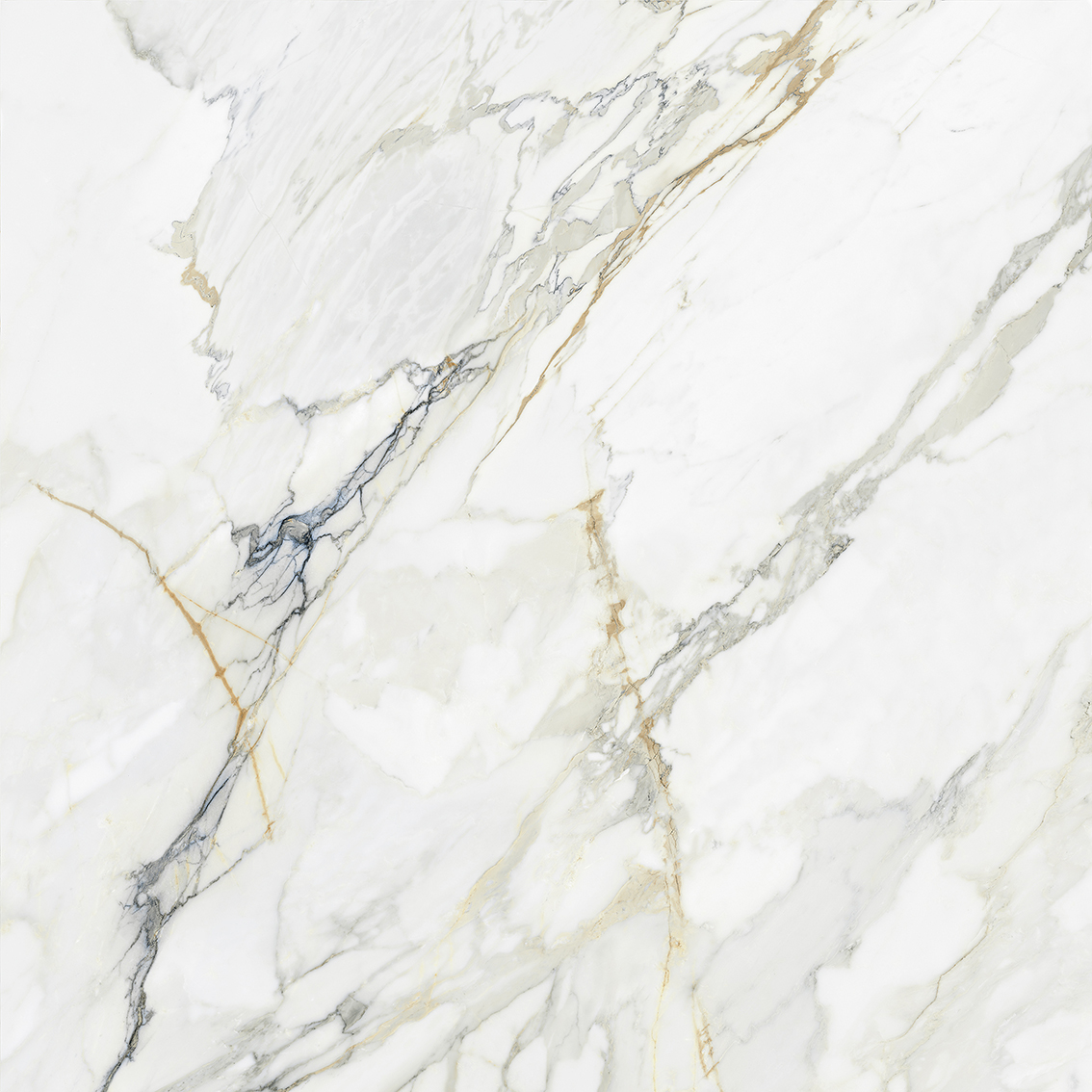 Tasa Blue Ribbon 0901