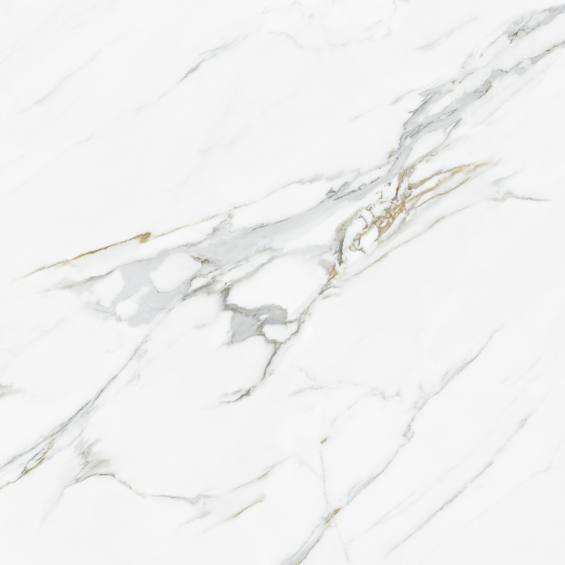 Tasa Blue Ribbon 0961