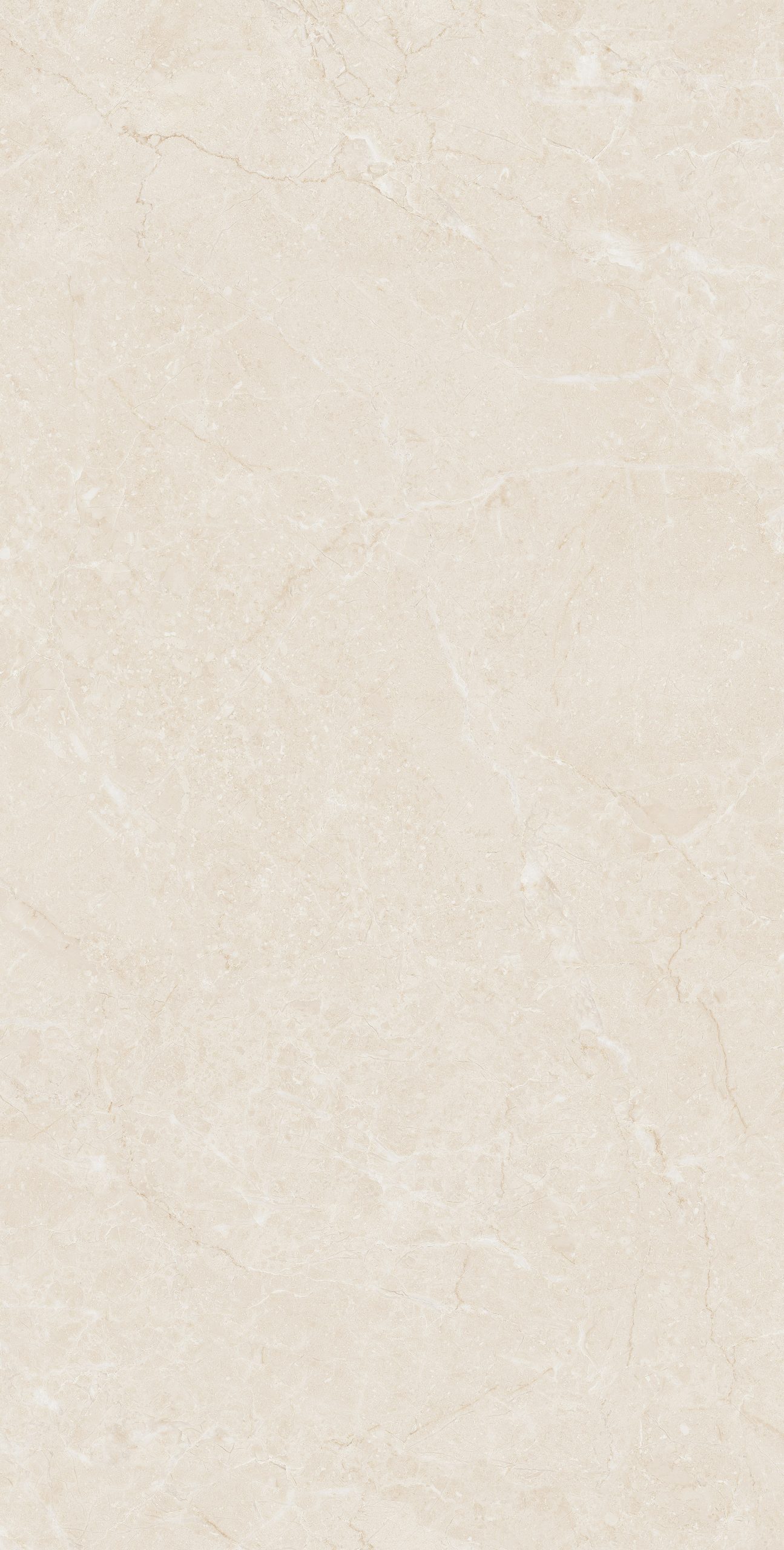 Tasa 2904