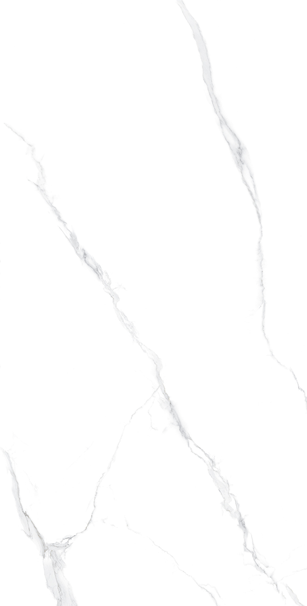 Tasa 2908