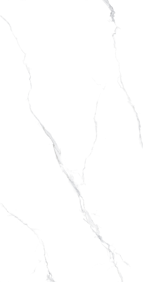 Tasa 2908
