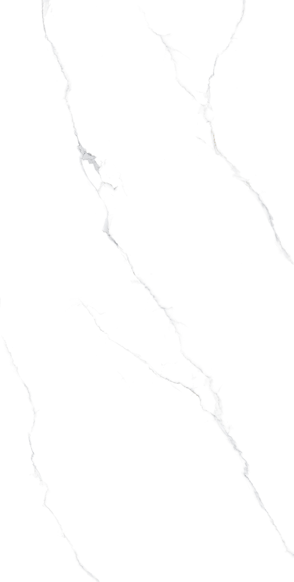 Tasa 2908