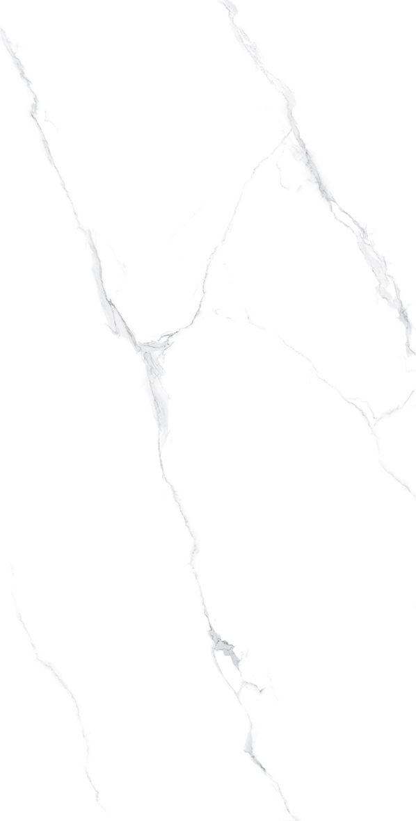 Tasa 2908