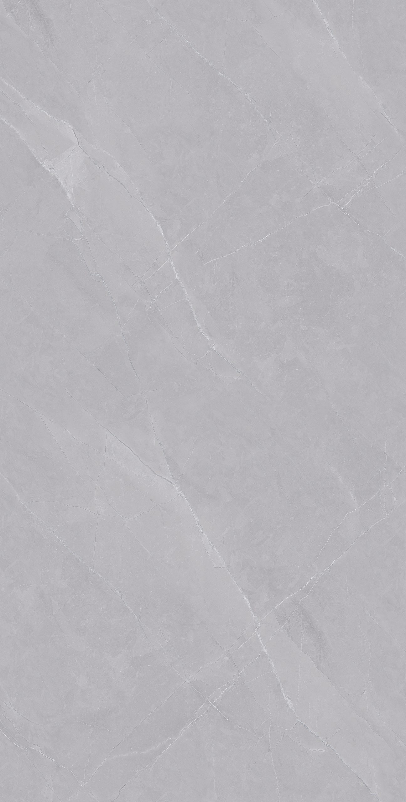 Tasa 2961
