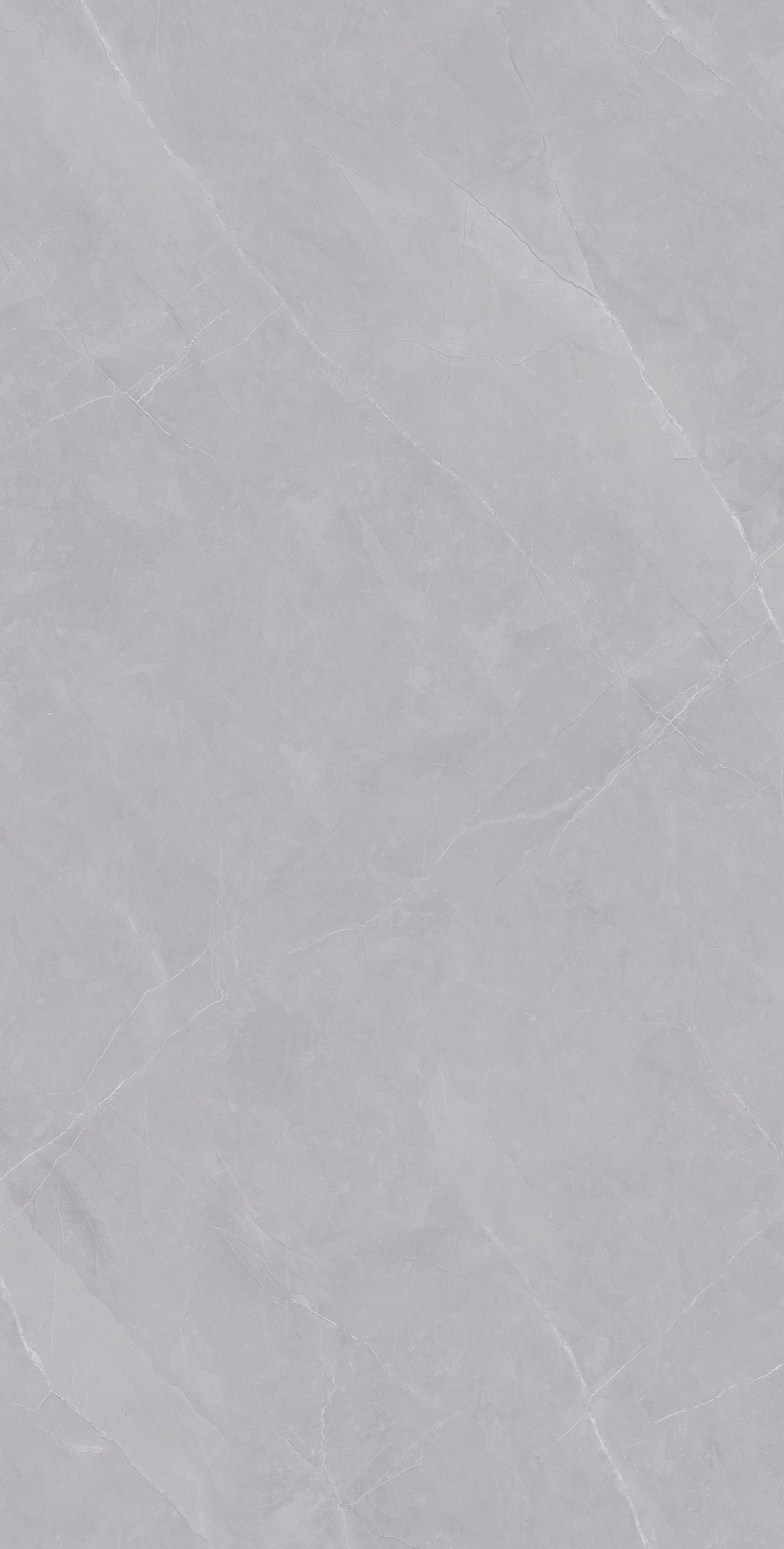 Tasa 2961