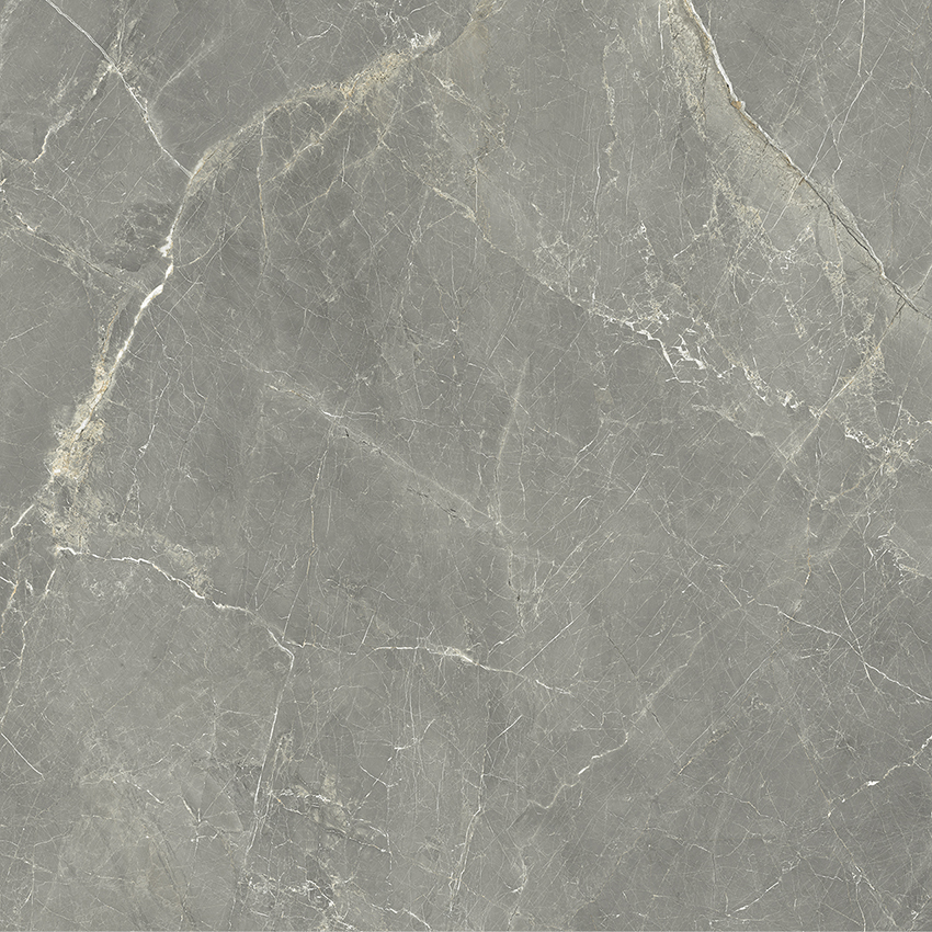 Tasa Blue Ribbon 0903