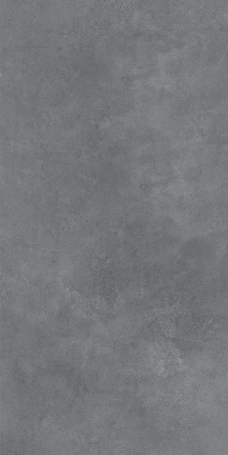 26206