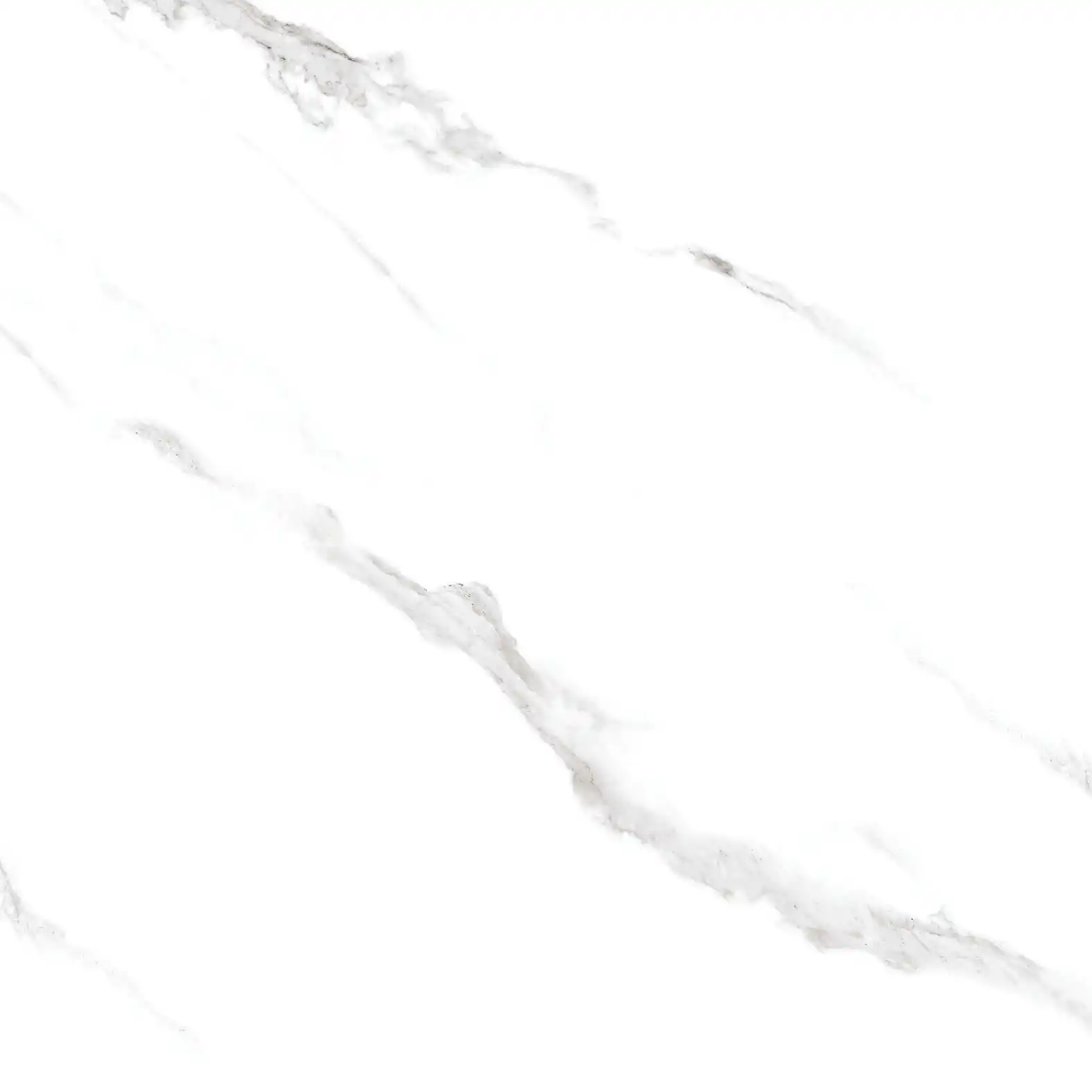 21005
