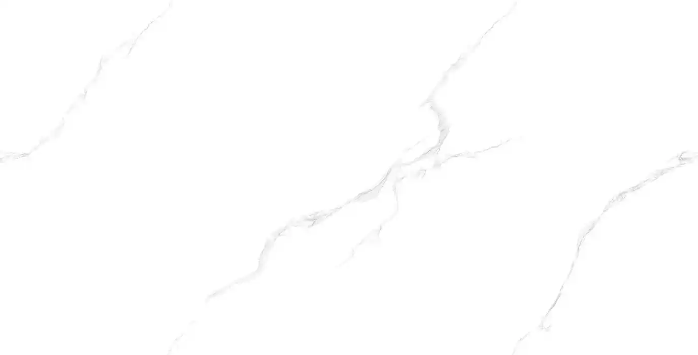 7801