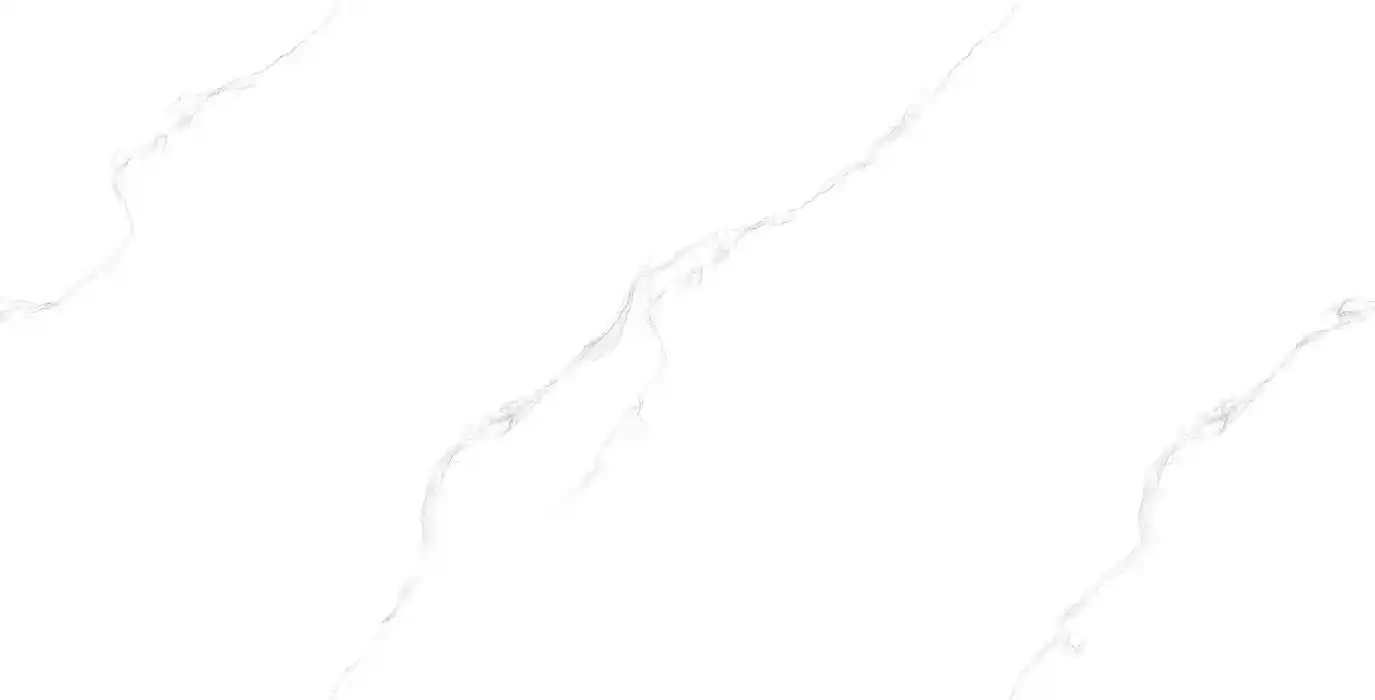 7801