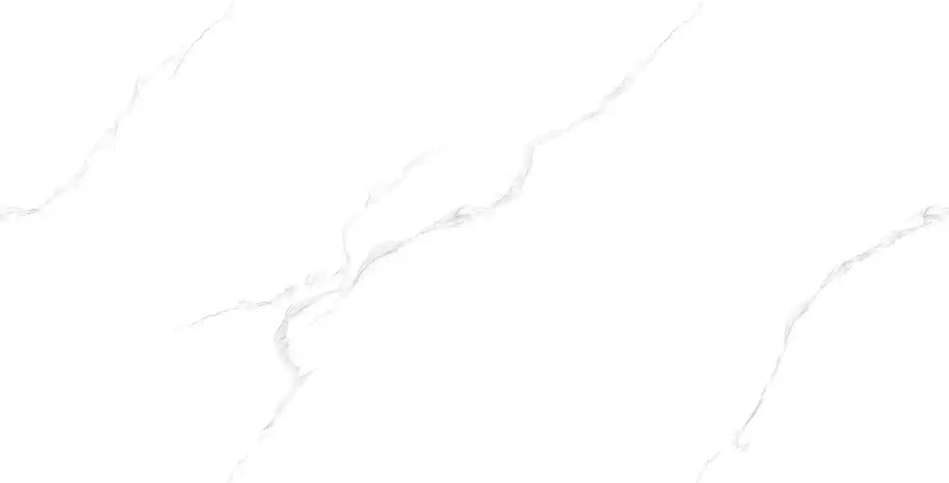 7801