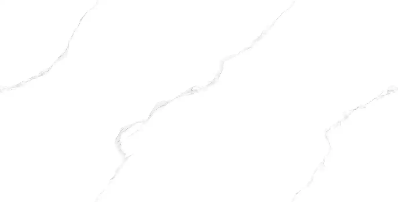 7801
