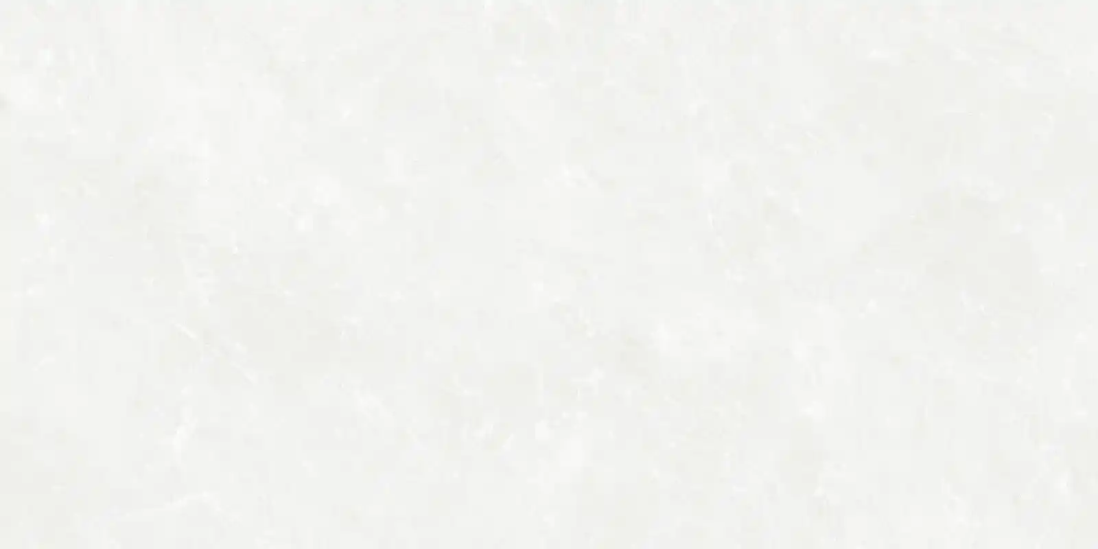 7804