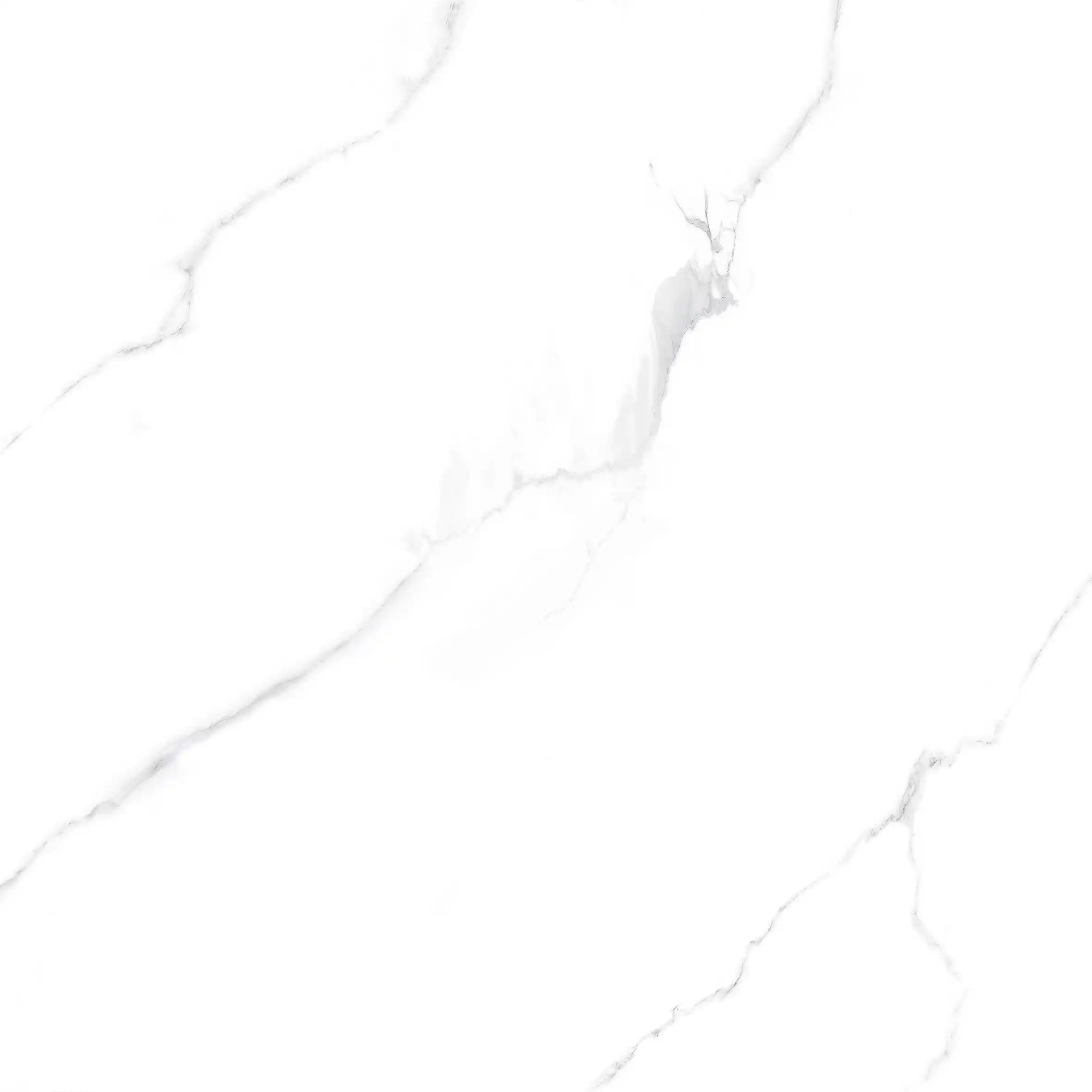 9566