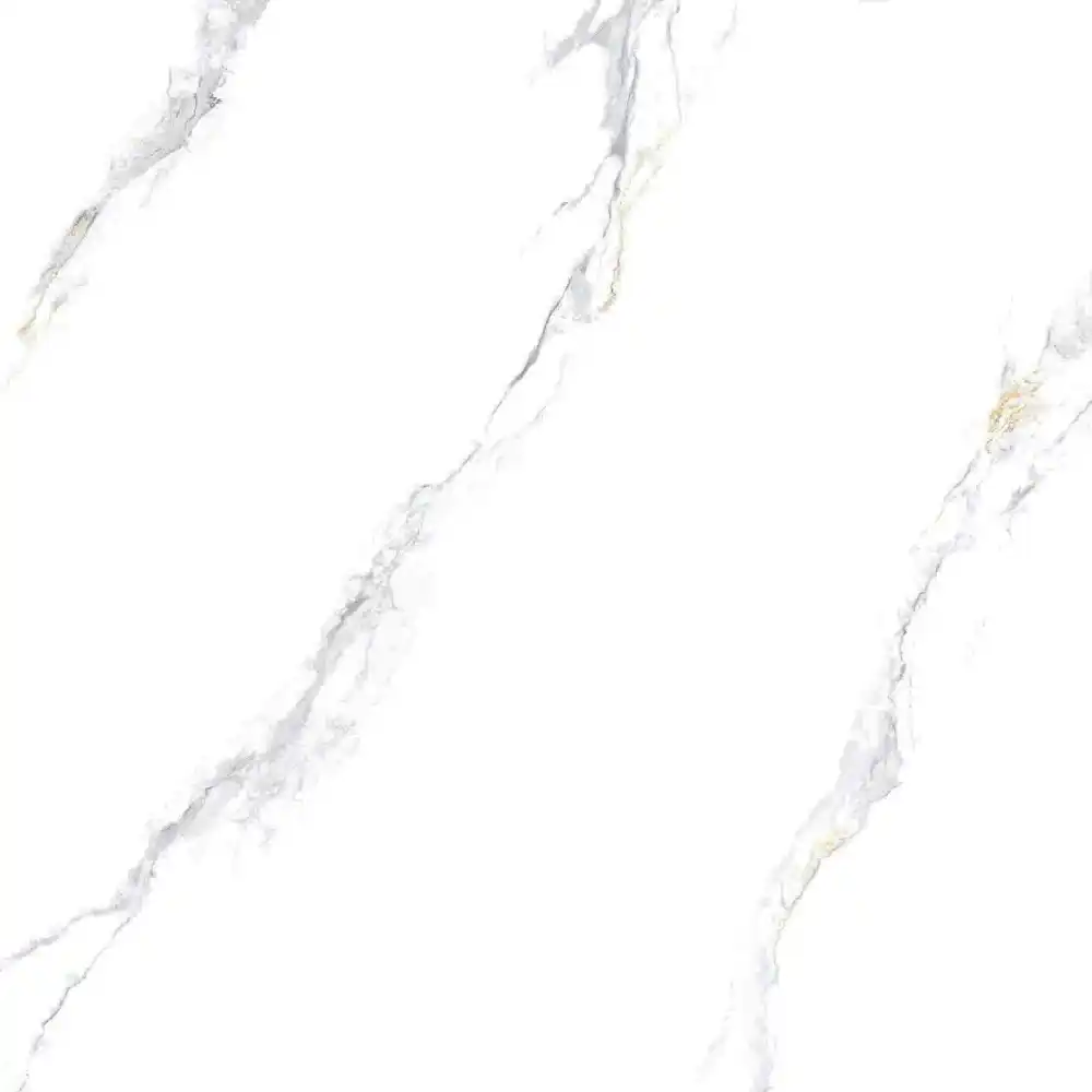 9202